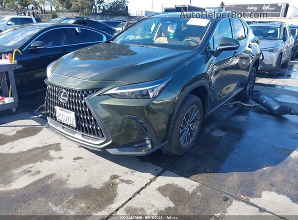 2T2ADCAZ4SC026046 2025 LEXUS NX 250 Green Передня ліва чверть