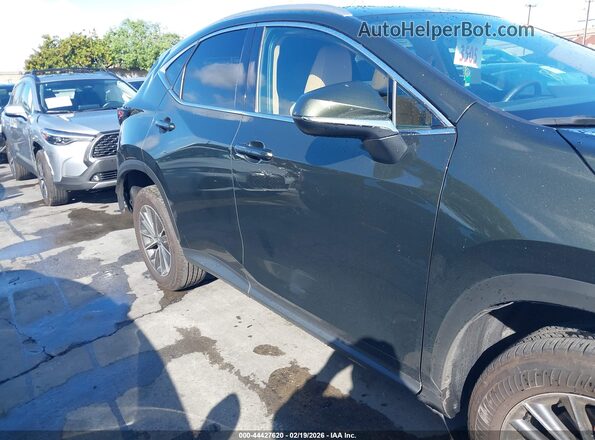 2T2ADCAZ4SC026046 2025 LEXUS NX 250 Green Панорамний вид салону 360°