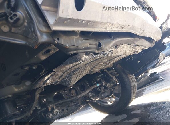 2T2ADCAZ4SC026046 2025 LEXUS NX 250 Green Вид спереду