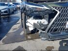 2025 Lexus Nx 250   Green vin: 2T2ADCAZ4SC026046