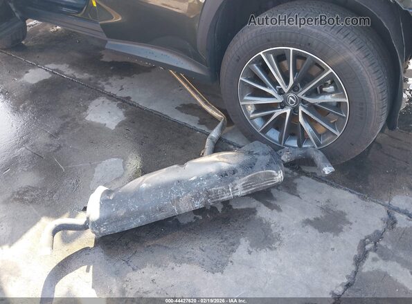 2T2ADCAZ4SC026046 2025 LEXUS NX 250 Green 