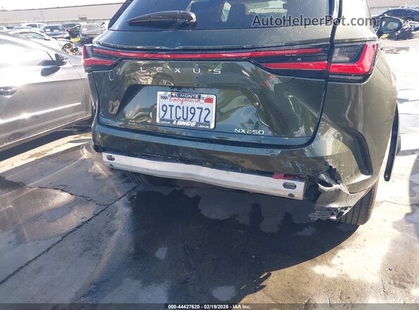 2T2ADCAZ4SC026046 2025 LEXUS NX 250 Green 