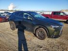 2026 Lexus Nx 350 Base Зеленый vin: 2T2AGCEZ0TC104468