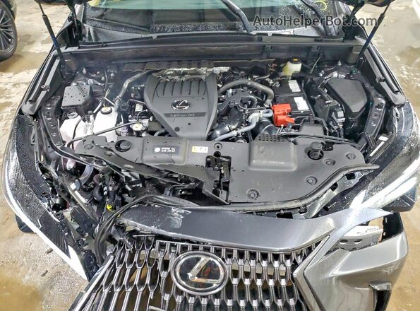 2T2AGCEZ1TC110523 2026 LEXUS NX Серый Вид задней части салона