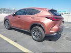 2026 Lexus Nx Nx 350 Brown vin: 2T2AGCEZ2TC101135