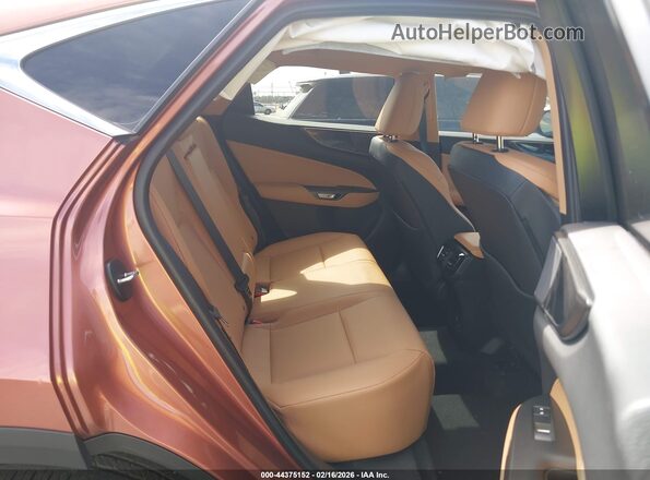 2T2AGCEZ2TC101135 2026 LEXUS NX Brown Widok naklejki z numerem VIN