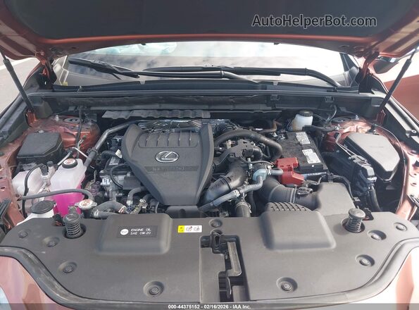 2T2AGCEZ2TC101135 2026 LEXUS NX Brown Widok z tyłu