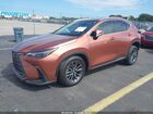 2026 Lexus Nx Nx 350 Brown vin: 2T2AGCEZ2TC101135