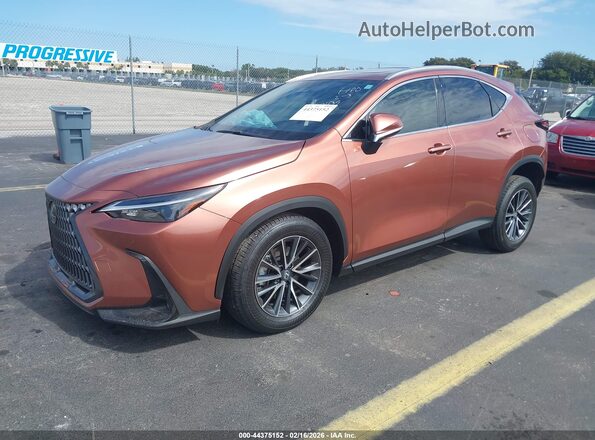 2T2AGCEZ2TC101135 2026 LEXUS NX Brown Przód lewy