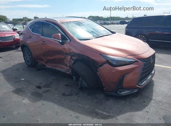 2T2AGCEZ2TC101135 2026 LEXUS NX Brown Przód prawy