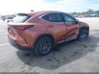 2026 Lexus Nx Nx 350 Brown vin: 2T2AGCEZ2TC101135