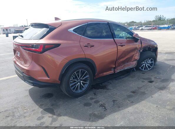 2T2AGCEZ2TC101135 2026 LEXUS NX Brown Tył prawy