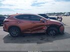 2026 Lexus Nx Nx 350 Brown vin: 2T2AGCEZ2TC101135