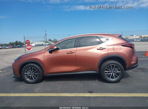 2T2AGCEZ2TC101135 2026 LEXUS NX Brown Widok wnętrza 360 stopni