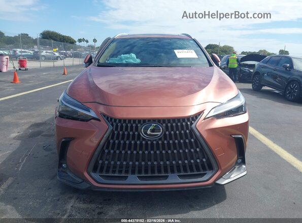 2T2AGCEZ2TC101135 2026 LEXUS NX Brown Widok zestawu wskaźników