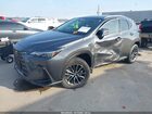 2026 Lexus Nx Nx 350 Gray vin: 2T2AGCEZ2TC105590