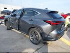 2026 Lexus Nx Nx 350 Gray vin: 2T2AGCEZ2TC105590