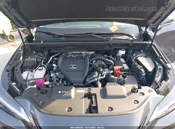 2T2AGCEZ2TC105590 2026 LEXUS NX Gray Widok z tyłu