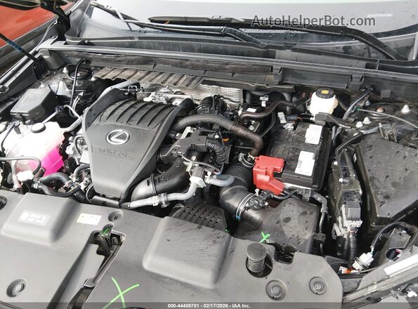 2T2AGCEZ7SC074206 2025 LEXUS NX 350 Black Widok z tyłu