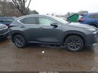 2024 Lexus Nx 350   Серый vin: 2T2AGCEZ9RC053772