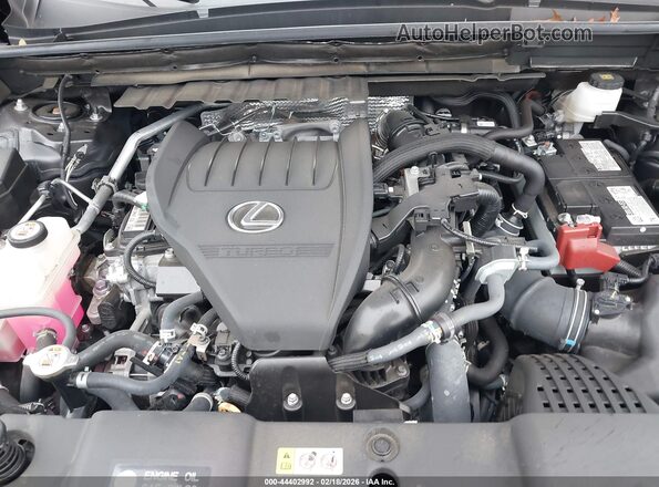 2T2AGCEZ9RC053772 2024 LEXUS NX 350 Серый Вид сзади