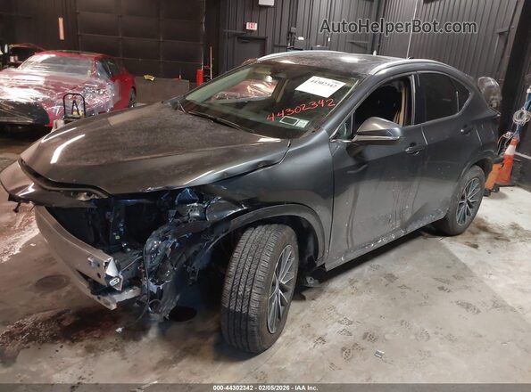 2T2AGCEZXSC082154 2025 LEXUS NX 350 Black Передня ліва чверть