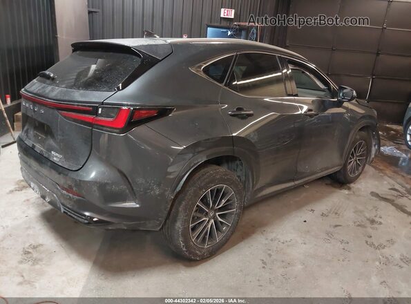 2T2AGCEZXSC082154 2025 LEXUS NX 350 Black Задня права чверть