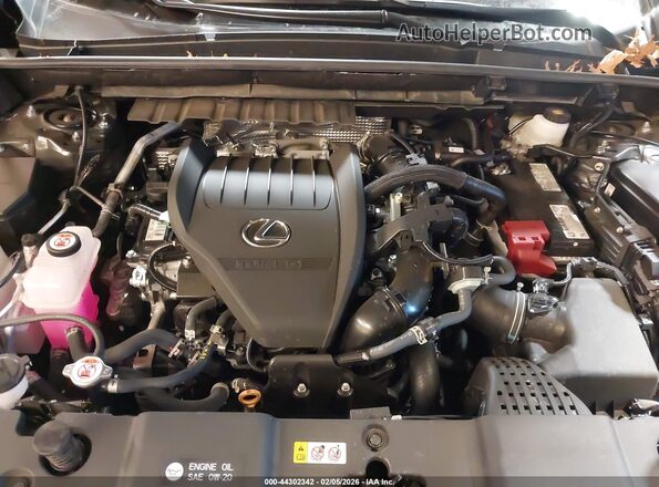 2T2AGCEZXSC082154 2025 LEXUS NX 350 Black Вид ззаду
