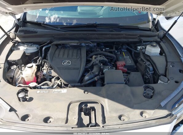 2T2BAMBA6PC014676 2023 LEXUS RX 350 Белый Вид сзади