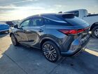 2024 Lexus Rx 350 Base Gray vin: 2T2BAMBA6RC040150