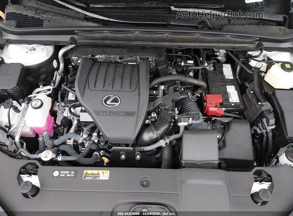 2T2BAMBAXSC064635 2025 LEXUS RX 350 White Հետևի տեսք