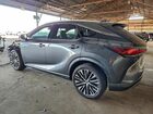 2024 Lexus Rx 350 Base Gray vin: 2T2BAMCA0RC048923