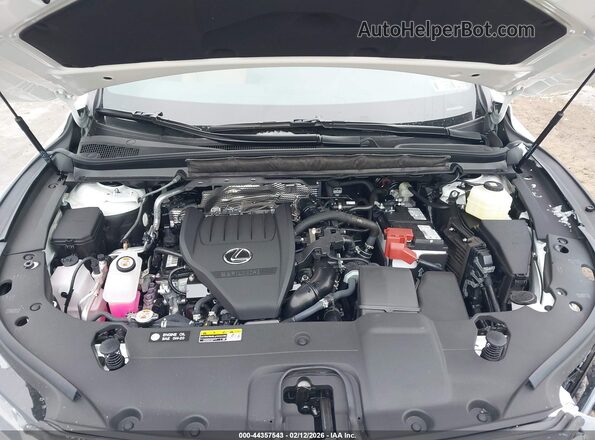 2T2BAMCA0SC104283 2025 LEXUS RX 350 White უკანა ხედი