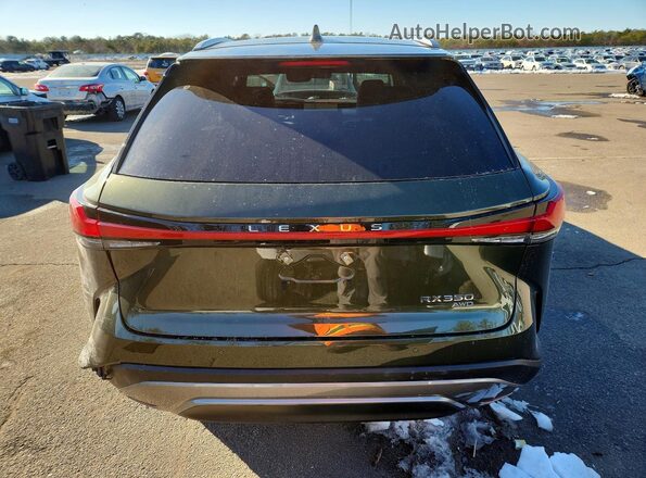 2T2BAMCA2TC131664 2026 LEXUS RX Green Widok z tyłu