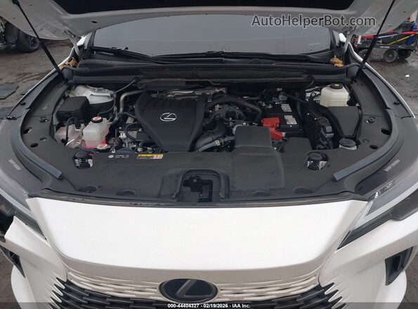 2T2BAMCA4RC069502 2024 LEXUS RX 350 White Rear view