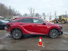 2024 Lexus Rx 350 Premium Plus Red vin: 2T2BAMCAXRC040389