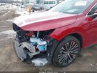 2024 Lexus Rx 350 Premium Plus Red vin: 2T2BAMCAXRC040389