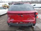 2024 Lexus Rx 350 Premium Plus Red vin: 2T2BAMCAXRC040389