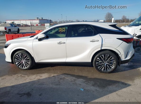 2T2BAMCAXSC121172 2025 LEXUS RX 350 White 