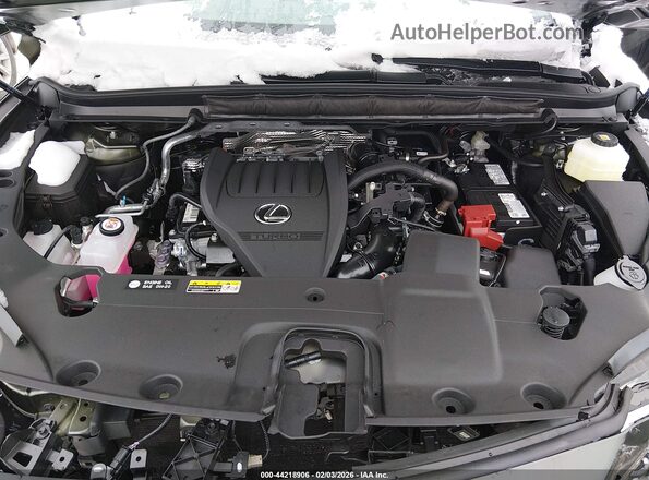 2T2BAMCAXTC129208 2026 LEXUS RX 350 Зеленый Вид сзади