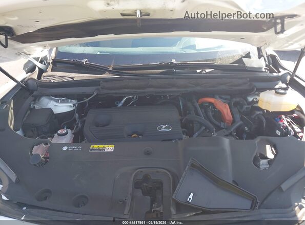 2T2BBMCA0RC058526 2024 LEXUS RX 350H Белый Вид сзади