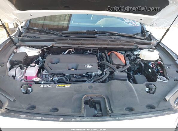 2T2BBMCA4SC084004 2025 LEXUS RX 350H Белый Вид сзади