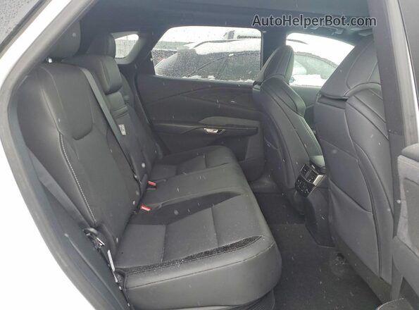 2T2BCMEA9PC010496 2023 LEXUS RX White უკანა სალონის ხედი