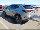 2025 Lexus Nx 250 Premium Gray vin: 2T2GDCAZ1SC020621