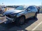 2025 Lexus Nx 250 Premium Gray vin: 2T2GDCAZ1SC020621