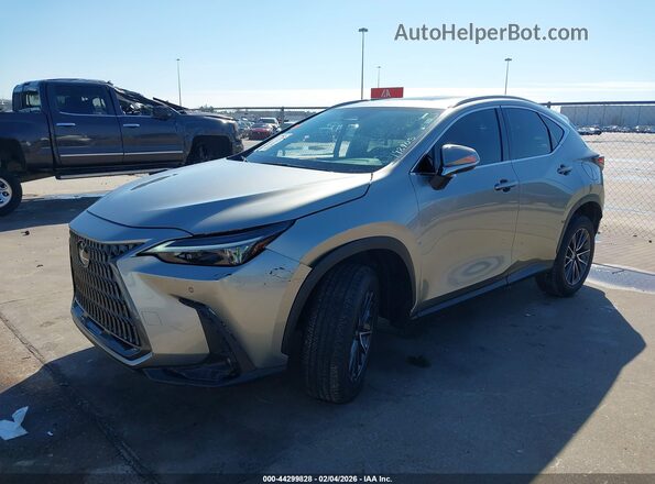2T2GDCAZ5RC014718 2024 LEXUS NX 250 Gray Przód lewy