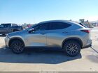 2024 Lexus Nx 250 Premium Gray vin: 2T2GDCAZ5RC014718