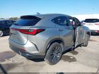 2024 Lexus Nx 250 Premium Gray vin: 2T2GDCAZ5RC014718