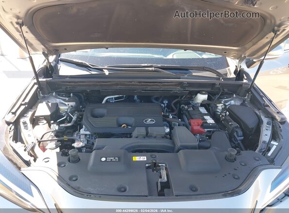 2T2GDCAZ5RC014718 2024 LEXUS NX 250 Gray Widok z tyłu