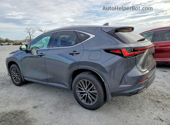 2T2GDCAZ6RC007308 2024 LEXUS NX Серый Задняя левая четверть